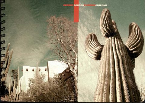 Dusted America - Collagen und Fotografie