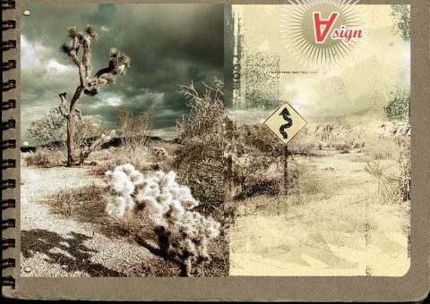 Dusted America - Collagen und Fotografie