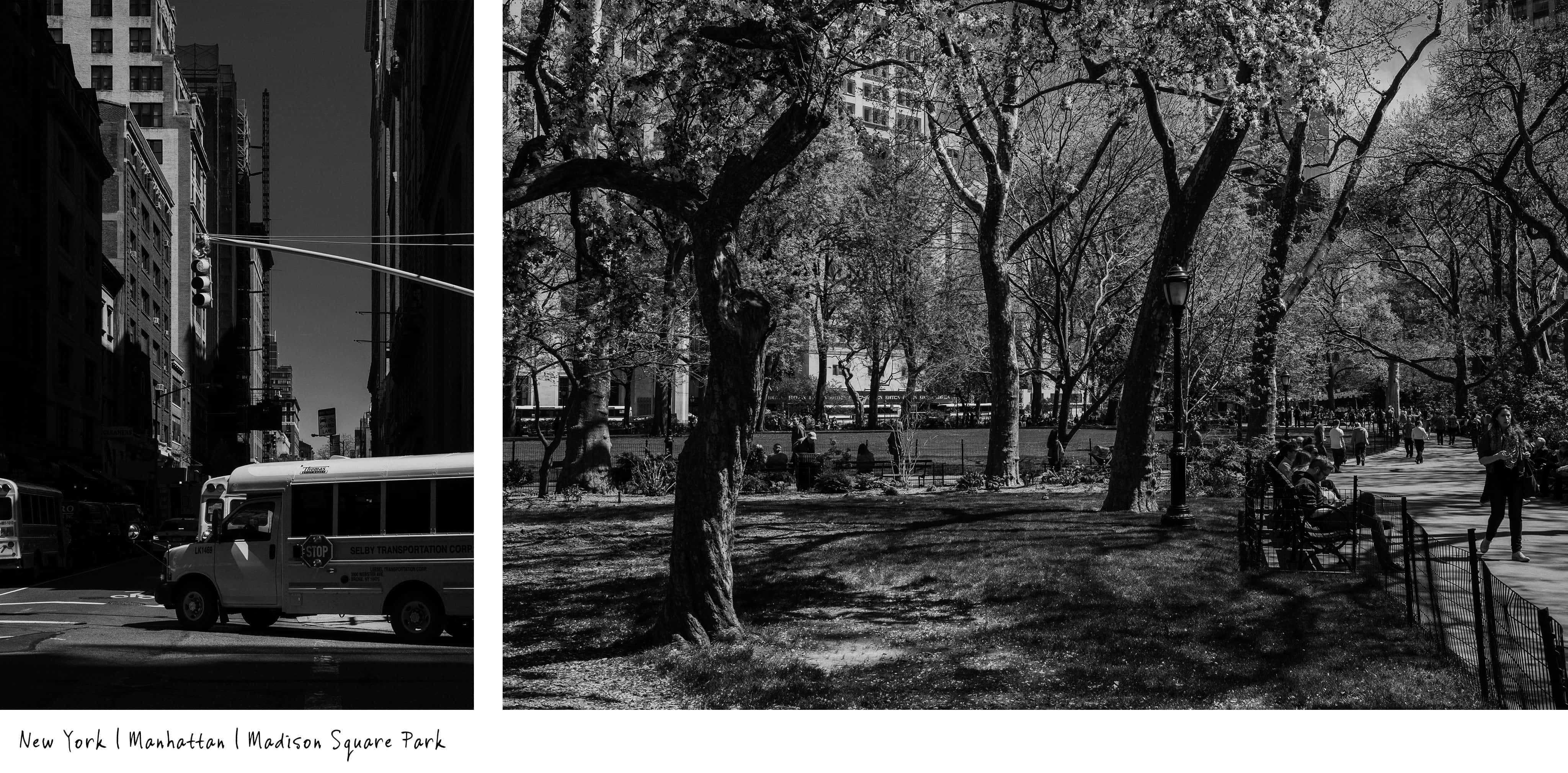 @Fotograf Fürth, Reisefotografie mit Fujifilm Kameras in New York