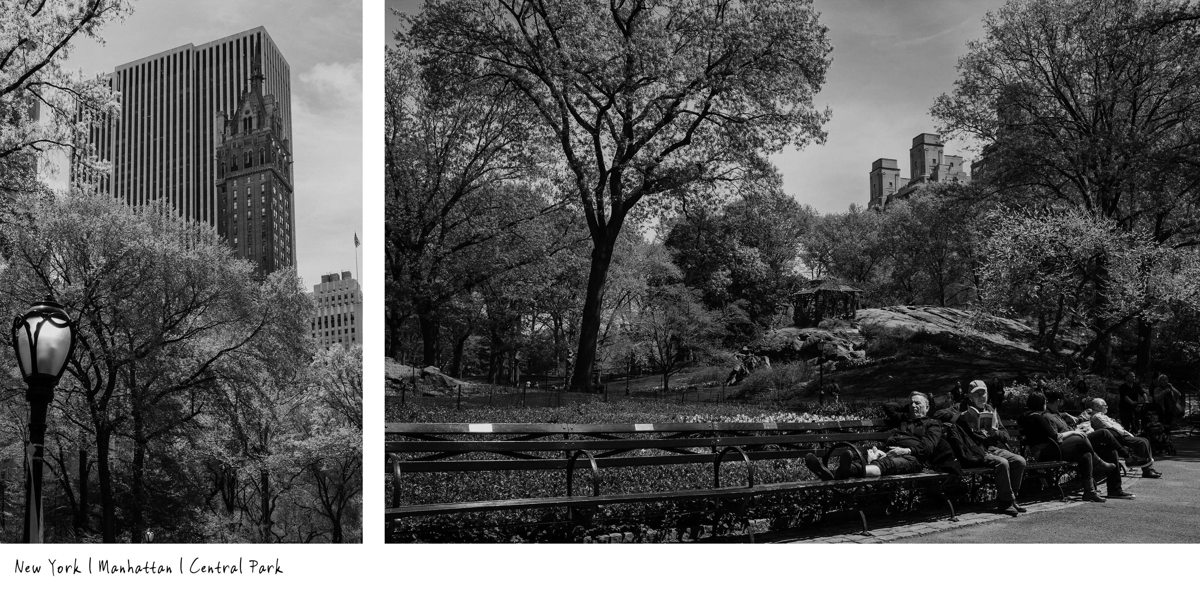 @Fotograf Fürth, Reisefotografie mit Fujifilm Kameras in New York