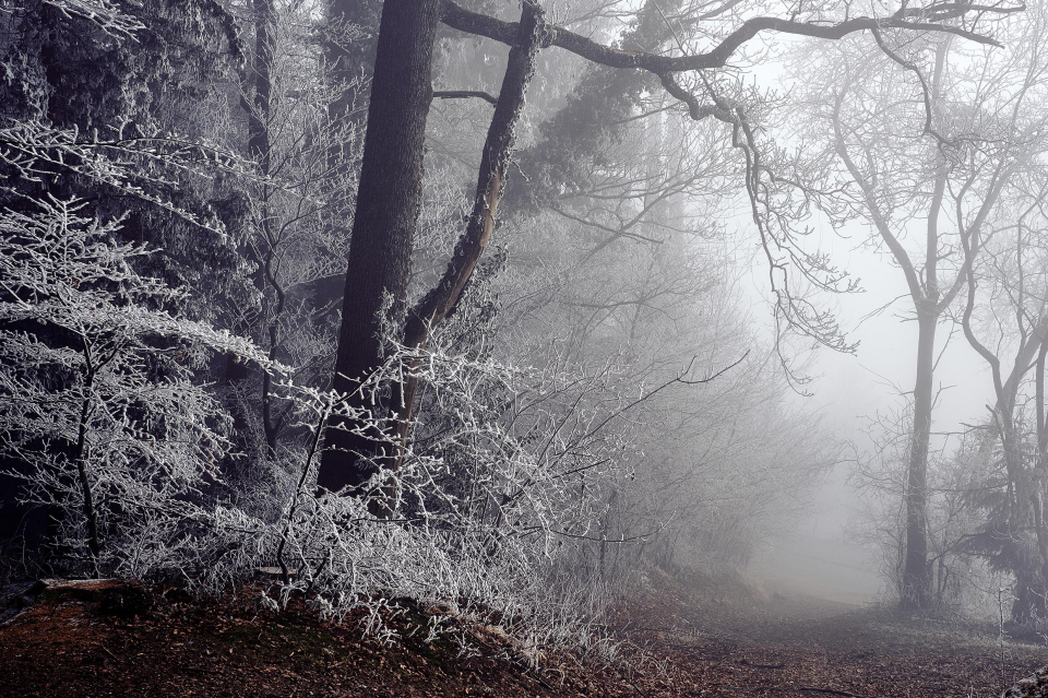 Fotograf Fürth, winter wonderland in der Schweiz