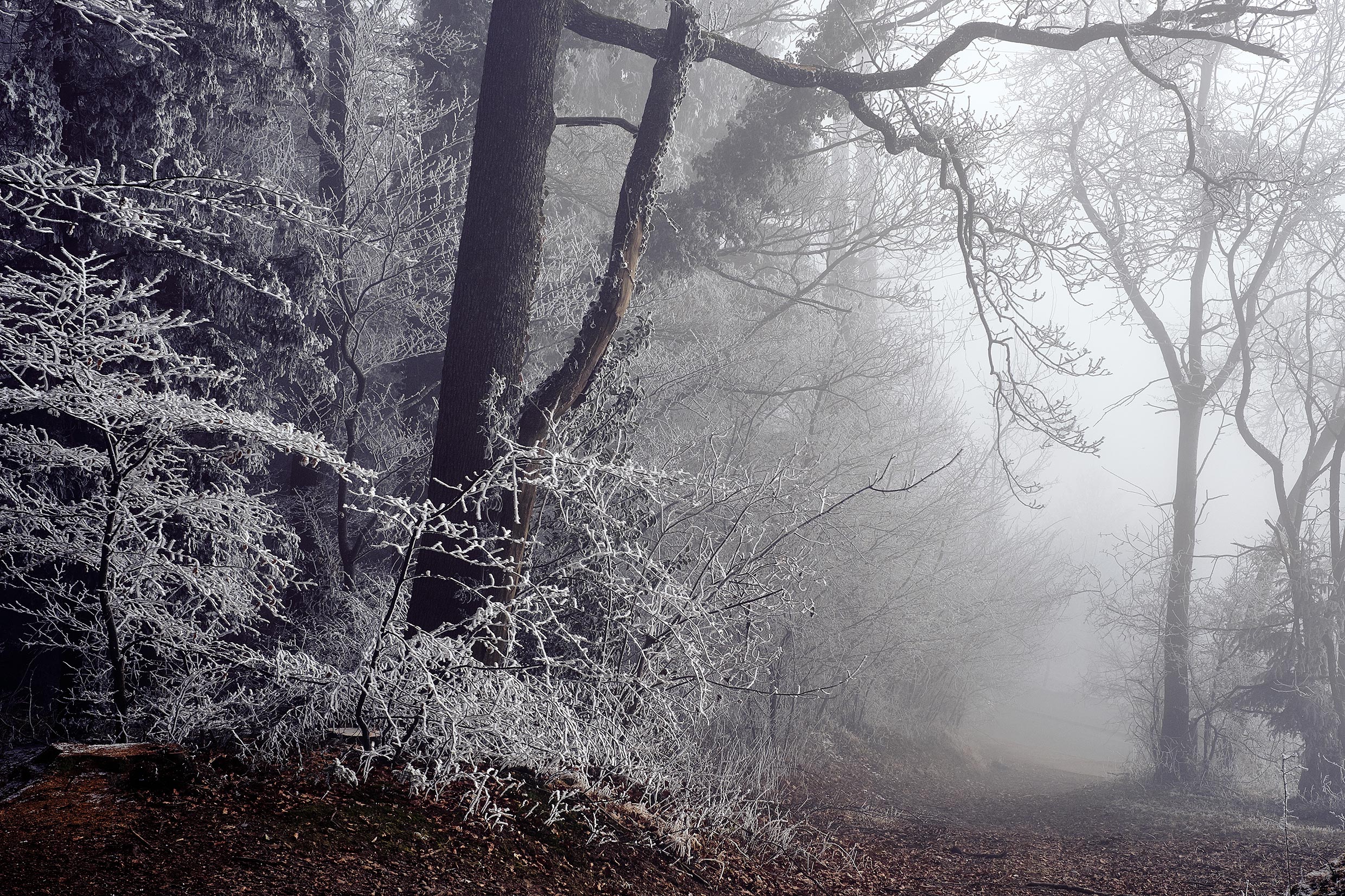 Winter wonderland in der Schweiz