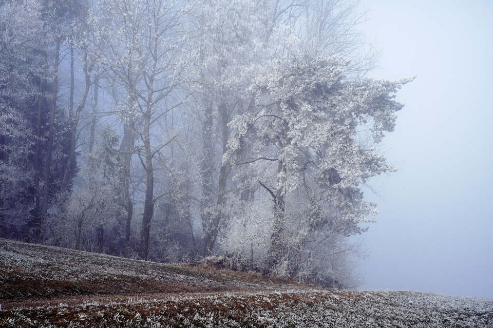 Fotograf Fürth, winter wonderland in der Schweiz