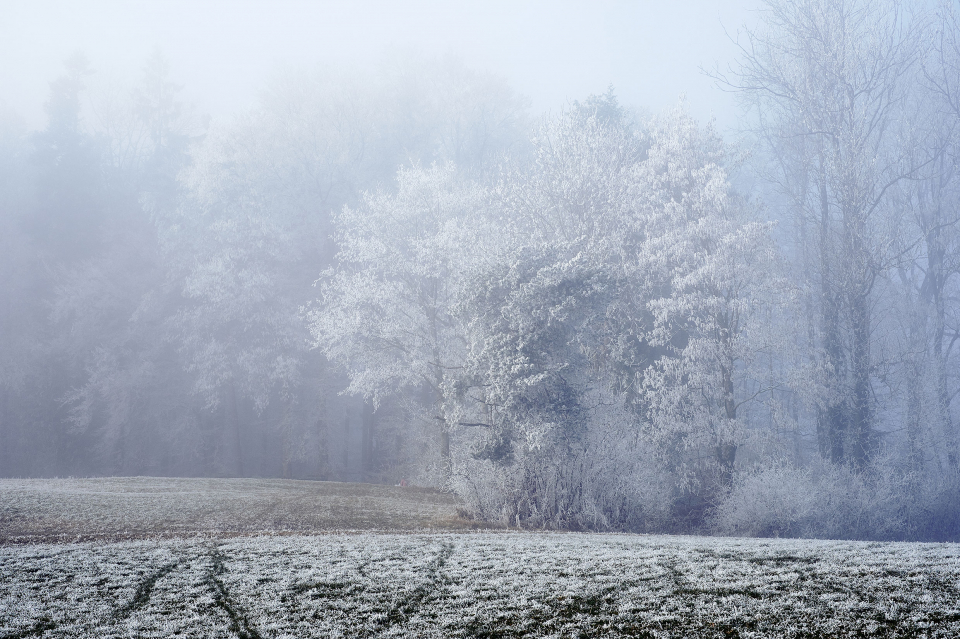 Fotograf Fürth, winter wonderland in der Schweiz