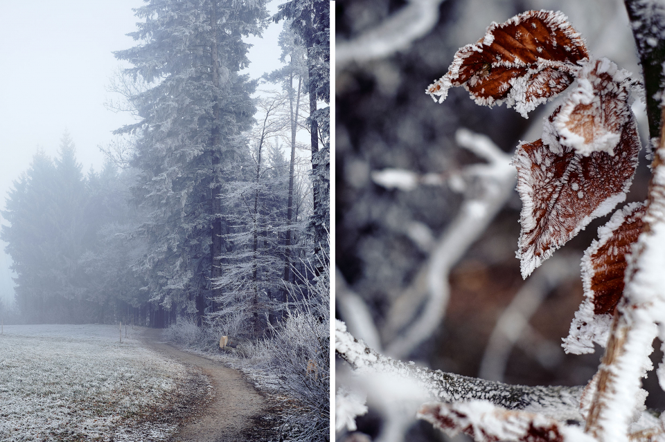 Fotograf Fürth, winter wonderland in der Schweiz
