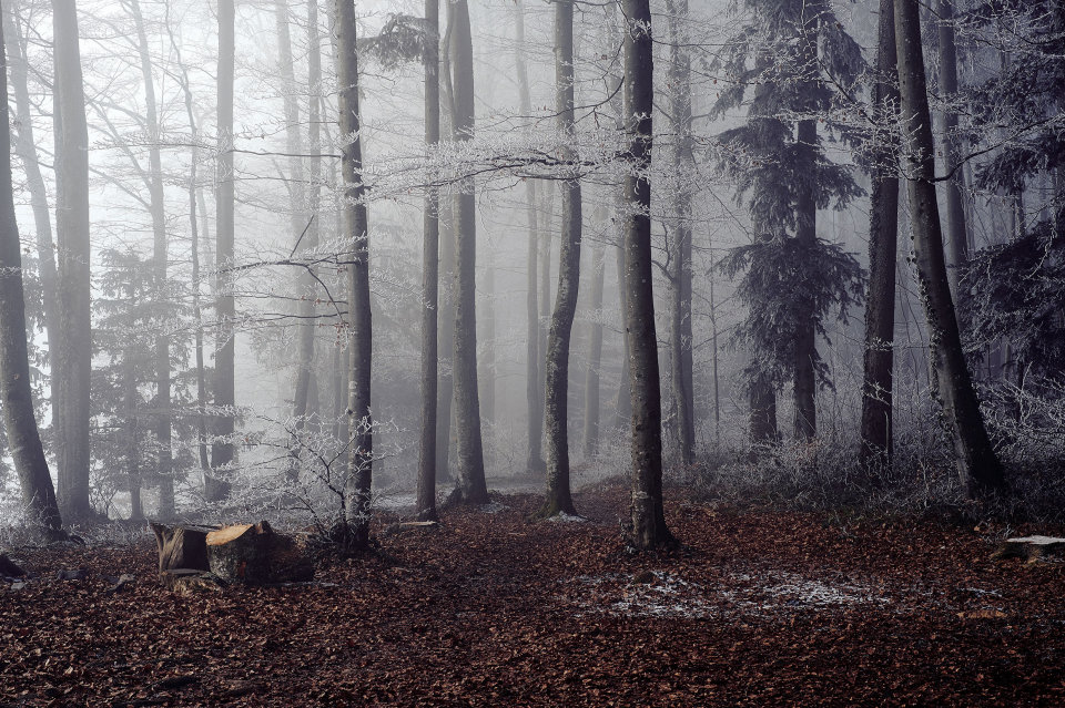 Fotograf Fürth, winter wonderland in der Schweiz