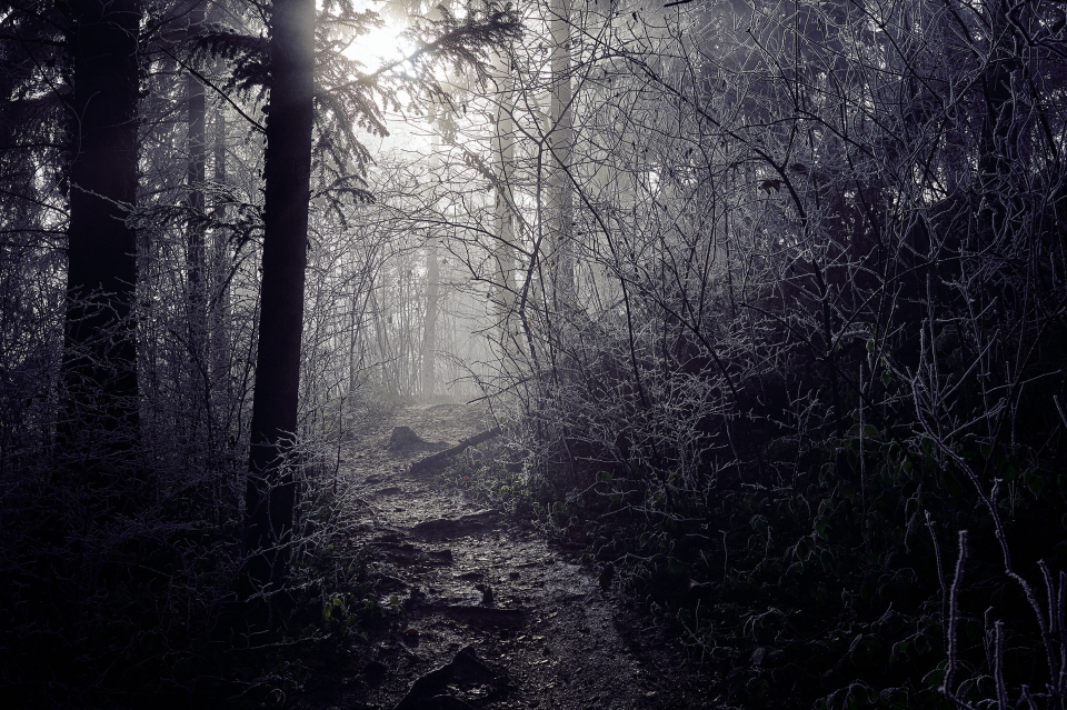 Fotograf Fürth, winter wonderland in der Schweiz