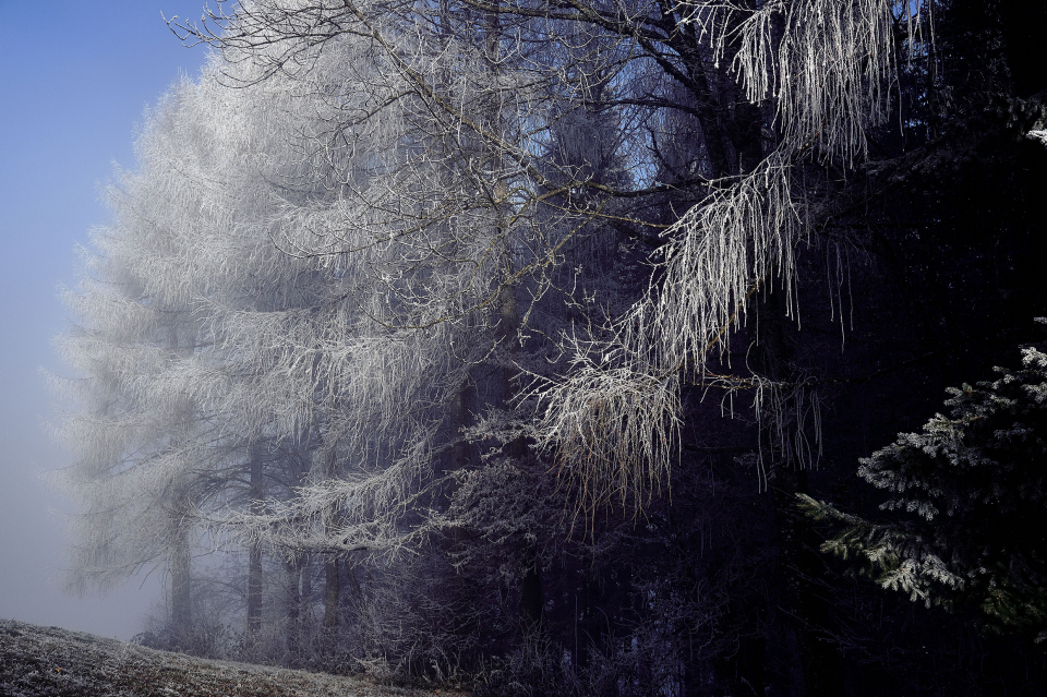 Fotograf Fürth, winter wonderland in der Schweiz