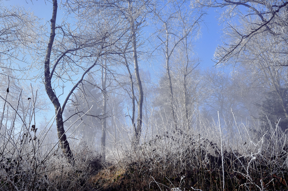 Fotograf Fürth, winter wonderland in der Schweiz