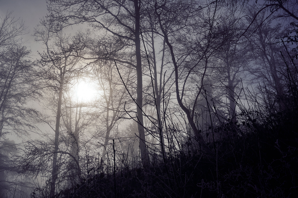 Fotograf Fürth, winter wonderland in der Schweiz