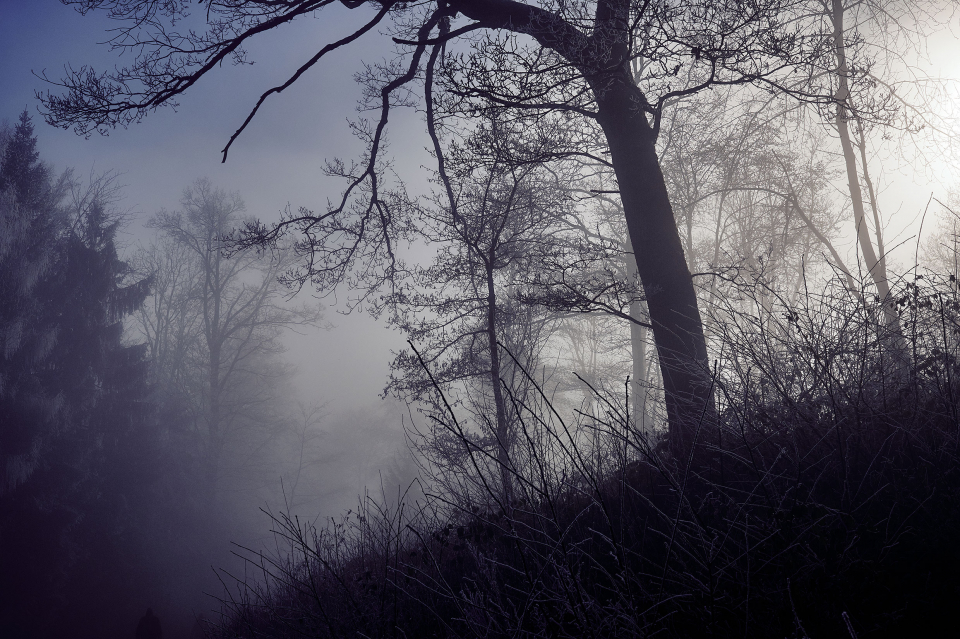 Fotograf Fürth, winter wonderland in der Schweiz