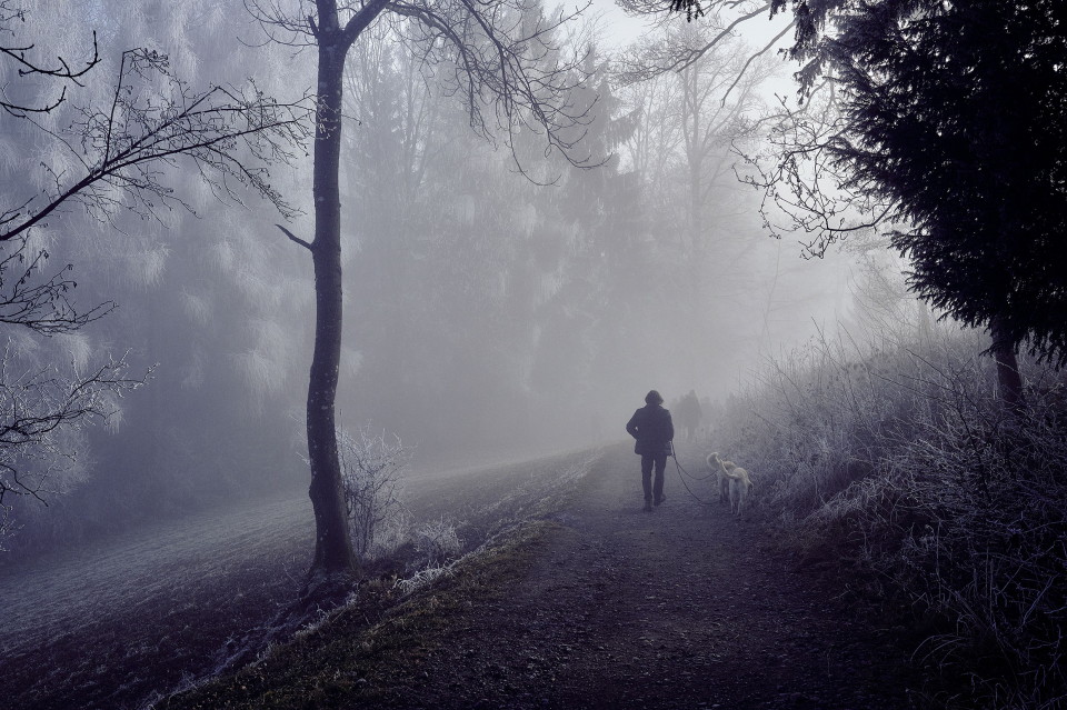 Fotograf Fürth, winter wonderland in der Schweiz