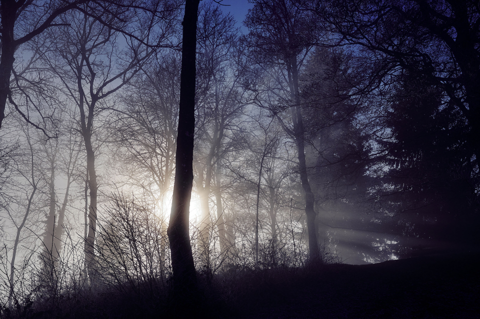 Fotograf Fürth, winter wonderland in der Schweiz