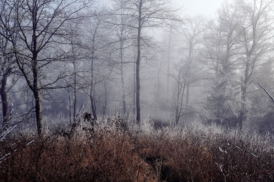Fotograf Fürth, winter wonderland in der Schweiz