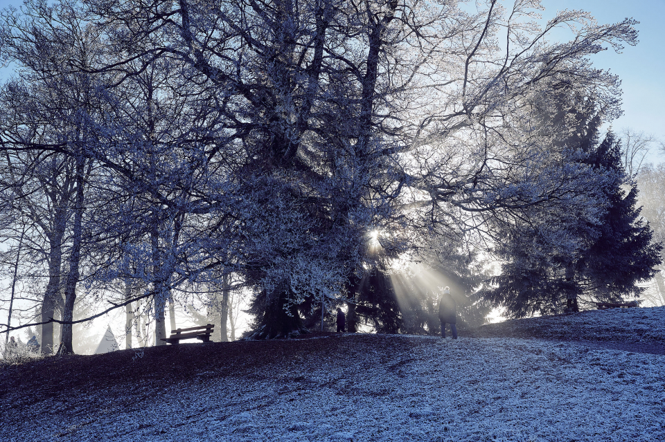 Fotograf Fürth, winter wonderland in der Schweiz