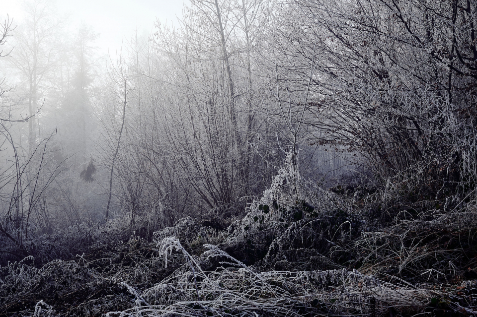 Fotograf Fürth, winter wonderland in der Schweiz