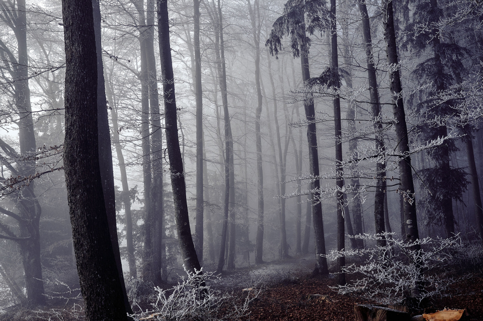 Fotograf Fürth, winter wonderland in der Schweiz
