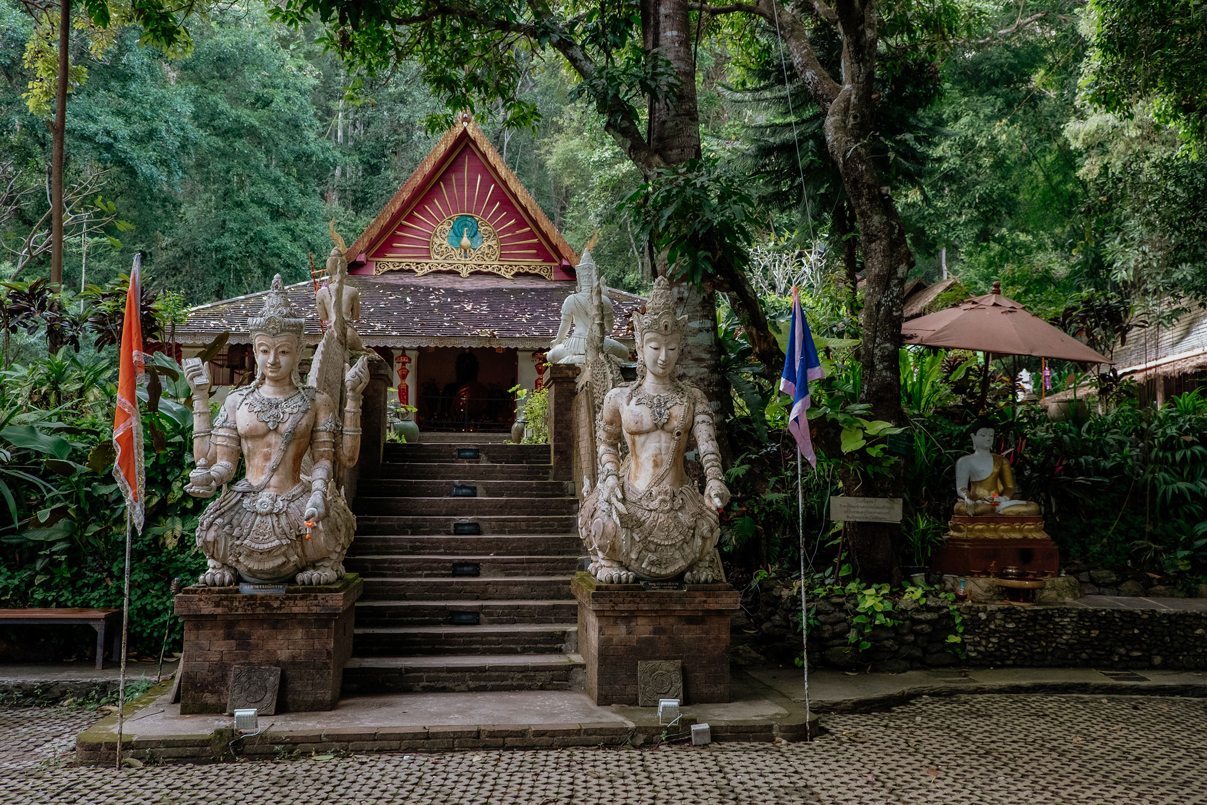 Mit Fuji-Kameras in Nordthailand - Fotograf Fürth