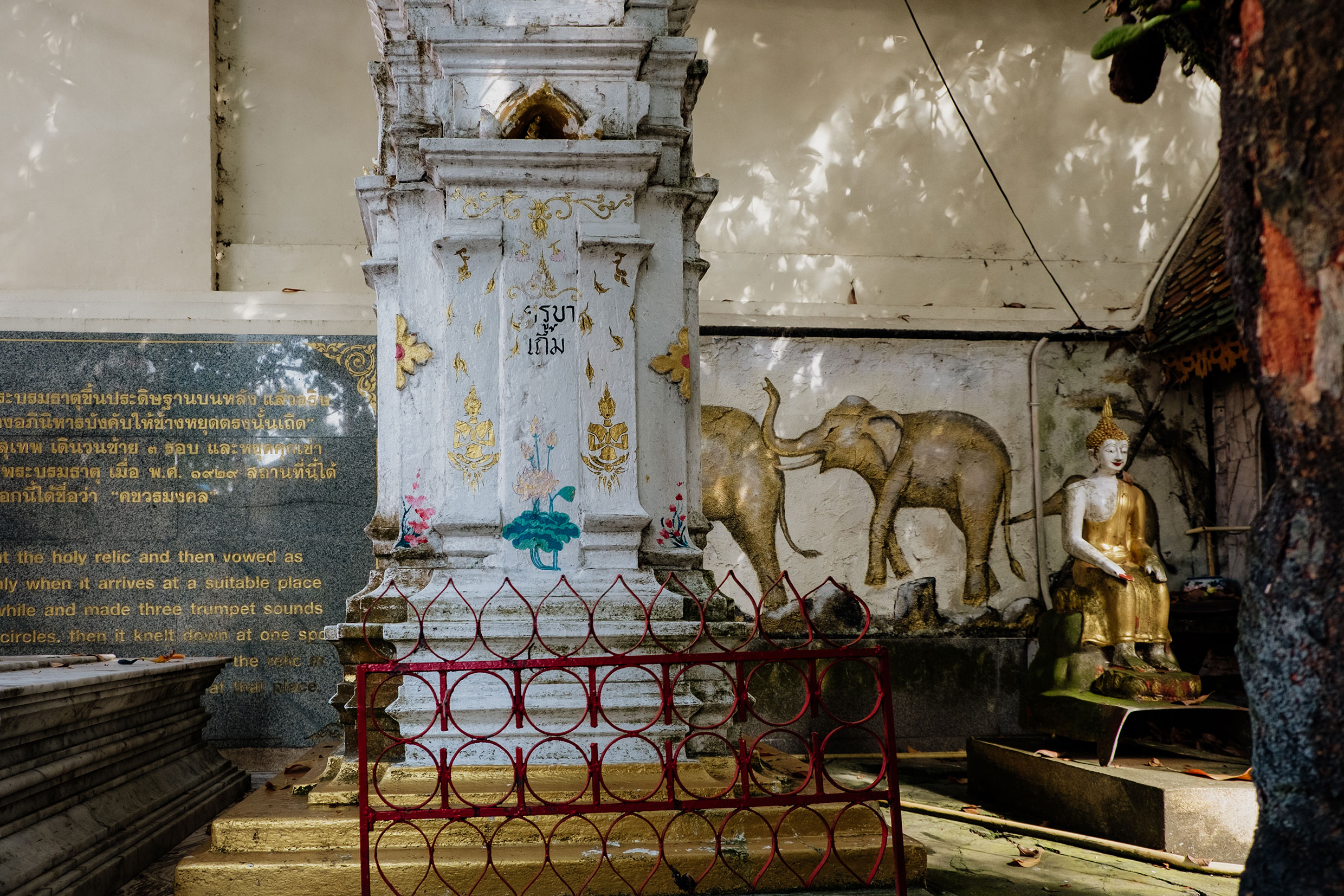 Mit Fuji-Kameras in Nordthailand - Fotograf Fürth