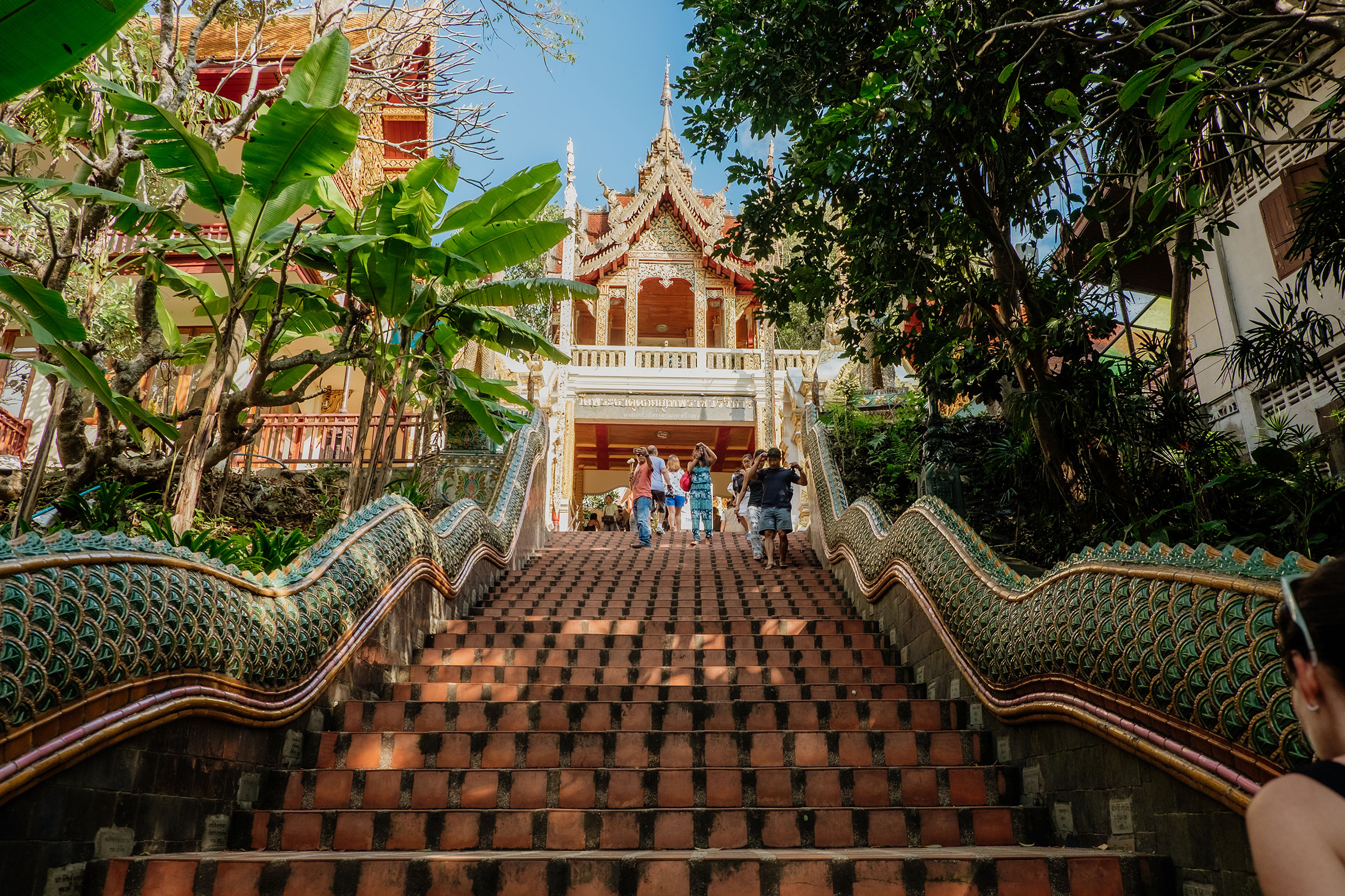 Mit Fuji-Kameras in Nordthailand - Fotograf Fürth