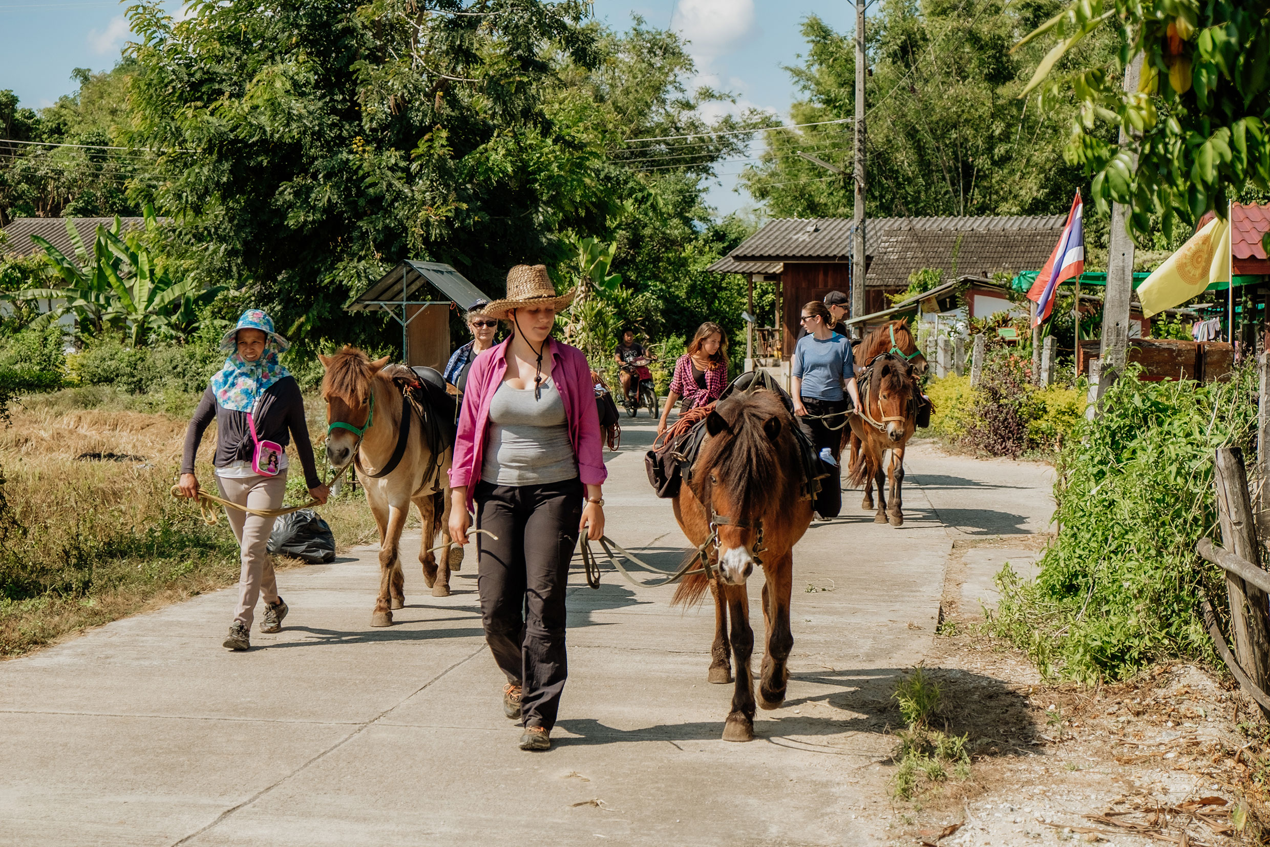 Mit Fuji-Kameras in Nordthailand - Fotograf Fürth