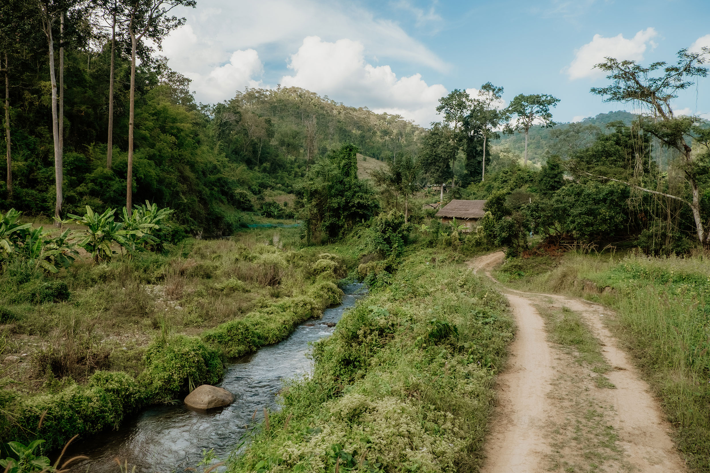 Mit Fuji-Kameras in Nordthailand - Fotograf Fürth