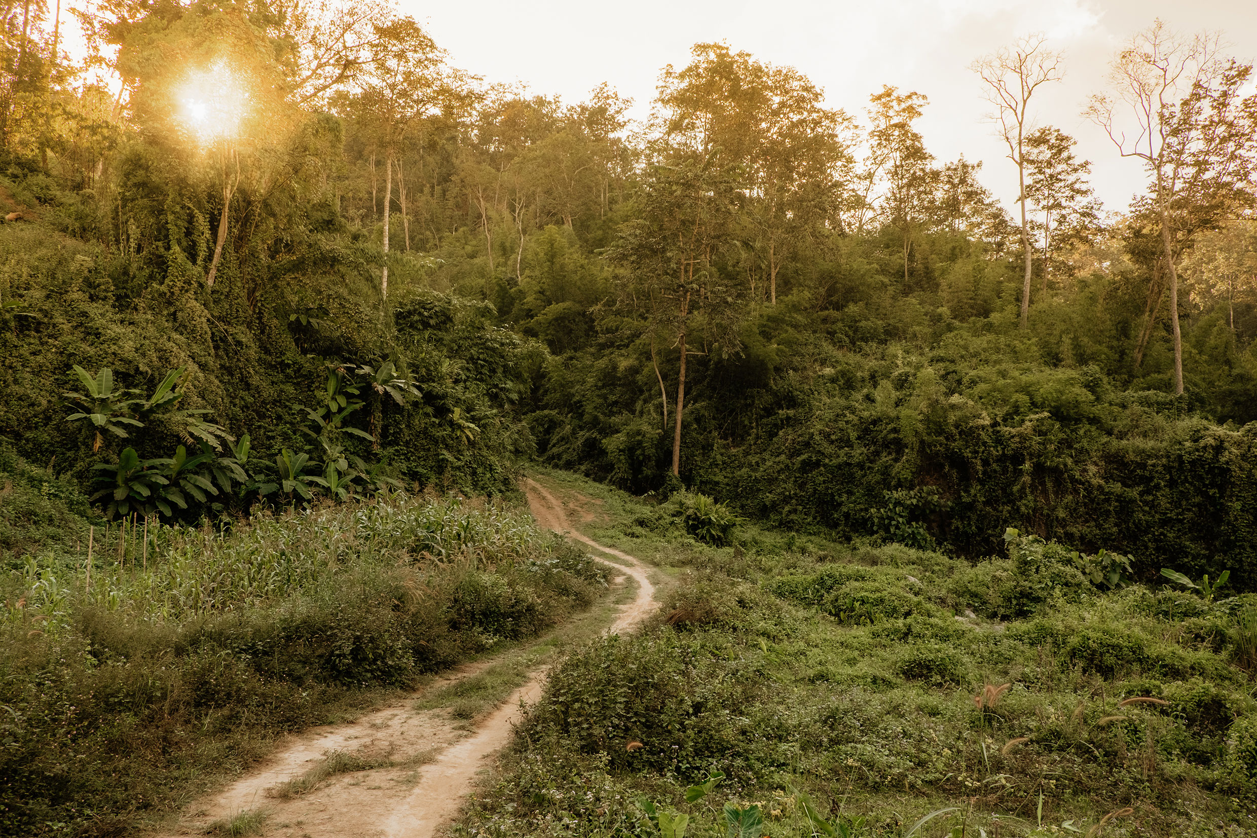 Mit Fuji-Kameras in Nordthailand - Fotograf Fürth