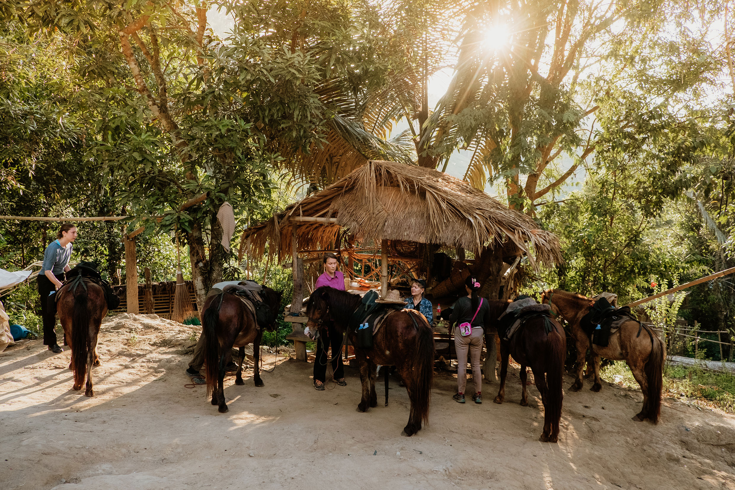 Mit Fuji-Kameras in Nordthailand - Fotograf Fürth