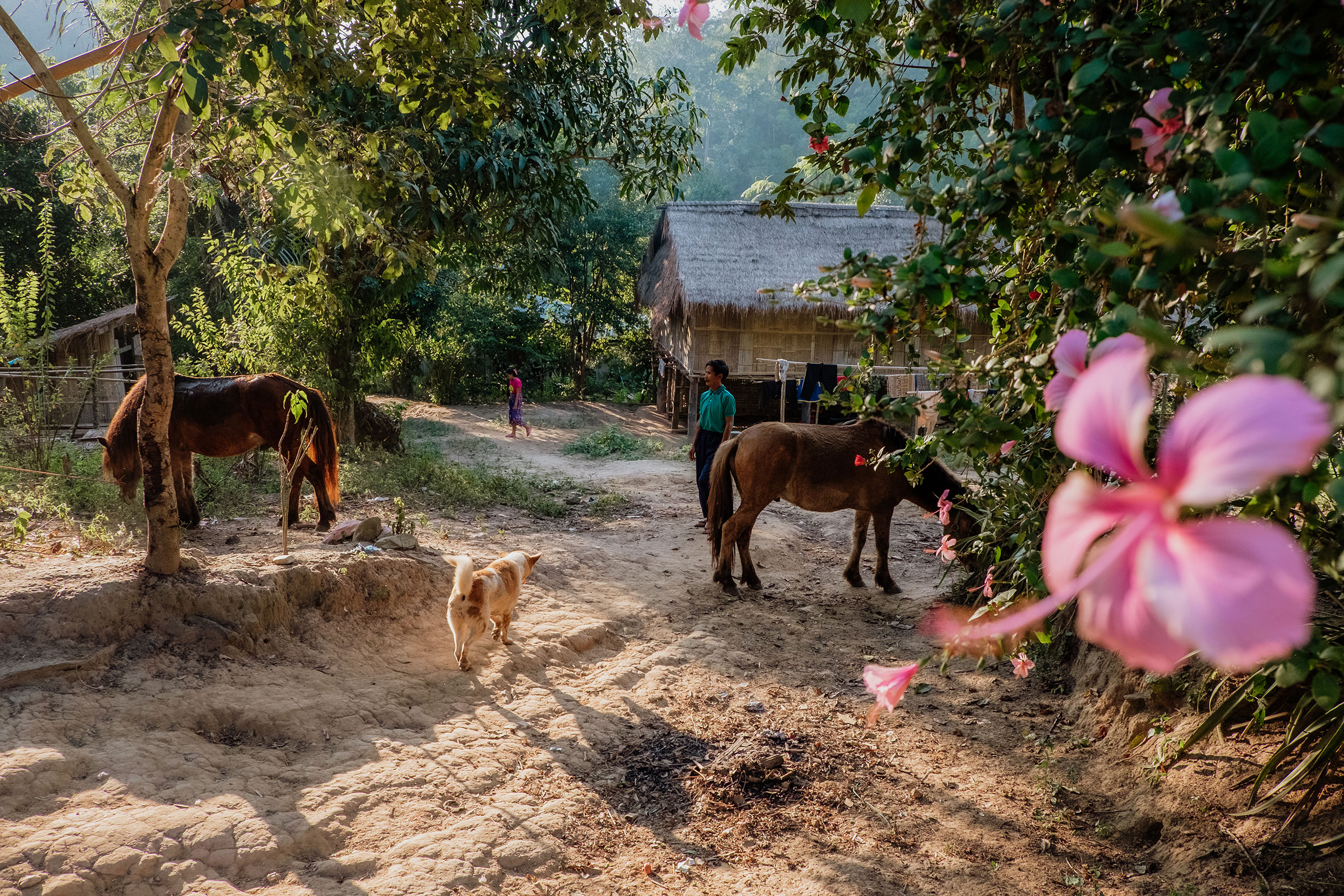 Mit Fuji-Kameras in Nordthailand - Fotograf Fürth