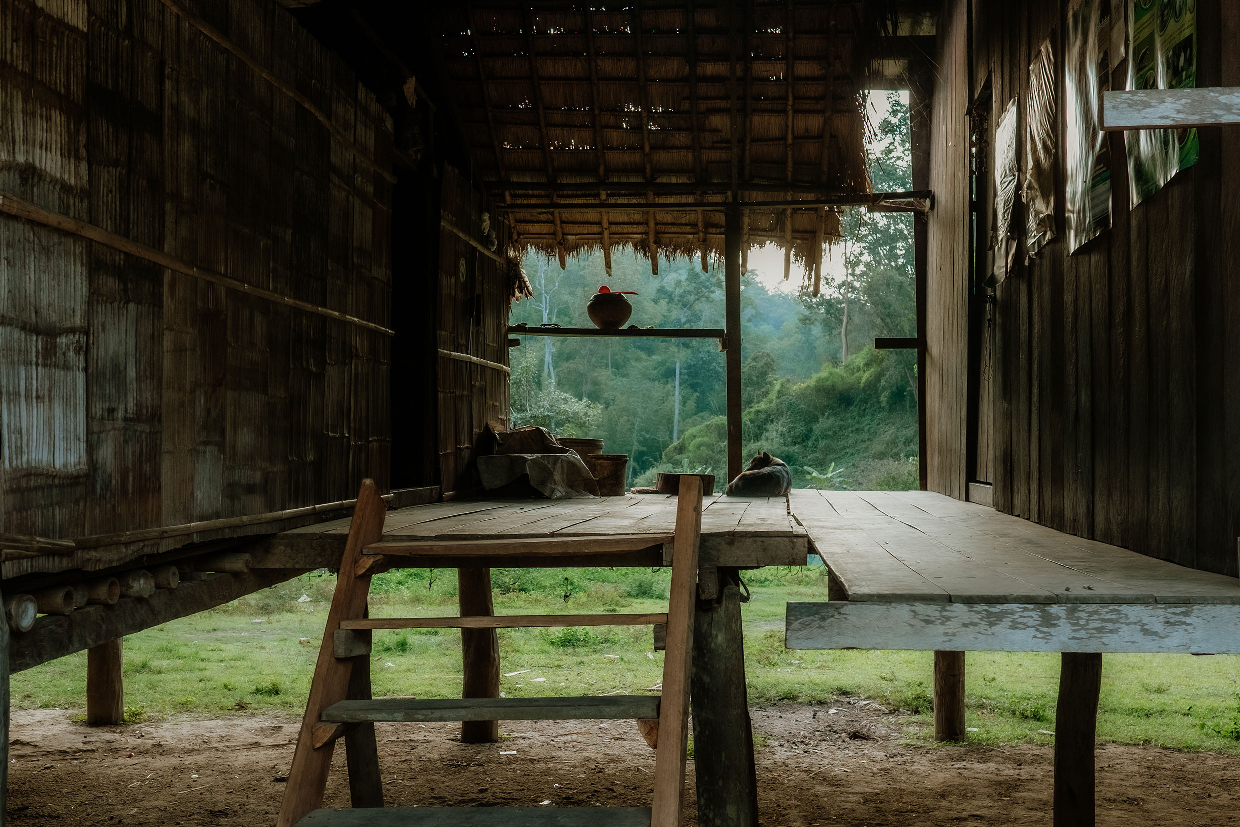 Mit Fuji-Kameras in Nordthailand - Fotograf Fürth