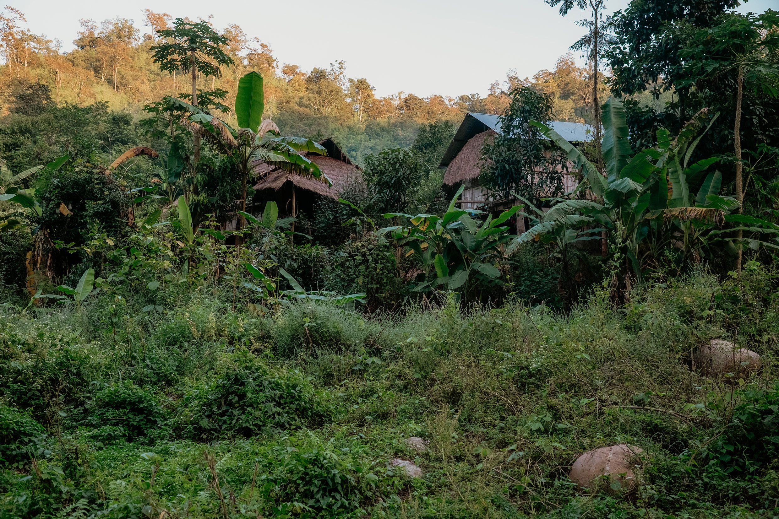 Mit Fuji-Kameras in Nordthailand - Fotograf Fürth