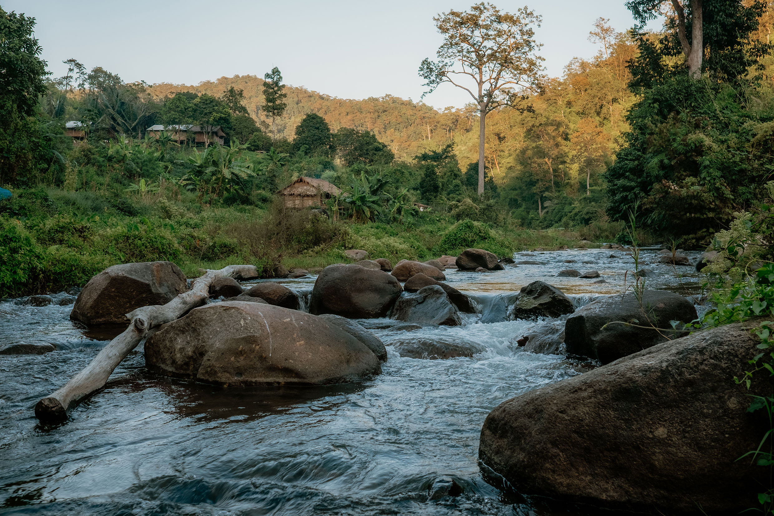 Mit Fuji-Kameras in Nordthailand - Fotograf Fürth