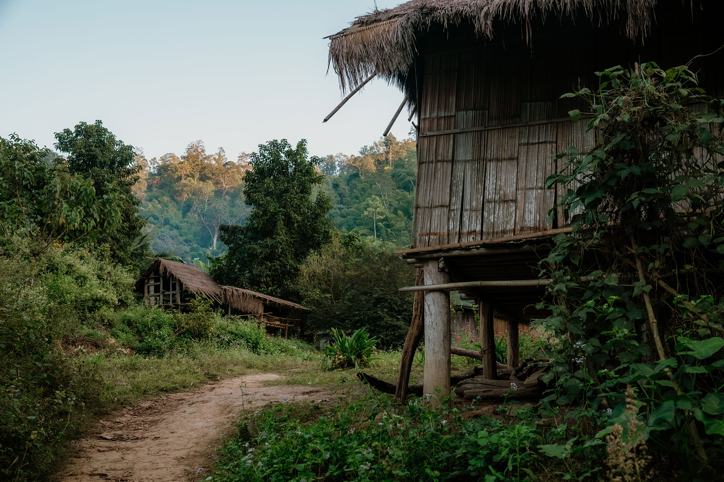 Mit Fuji-Kameras in Nordthailand - Fotograf Fürth