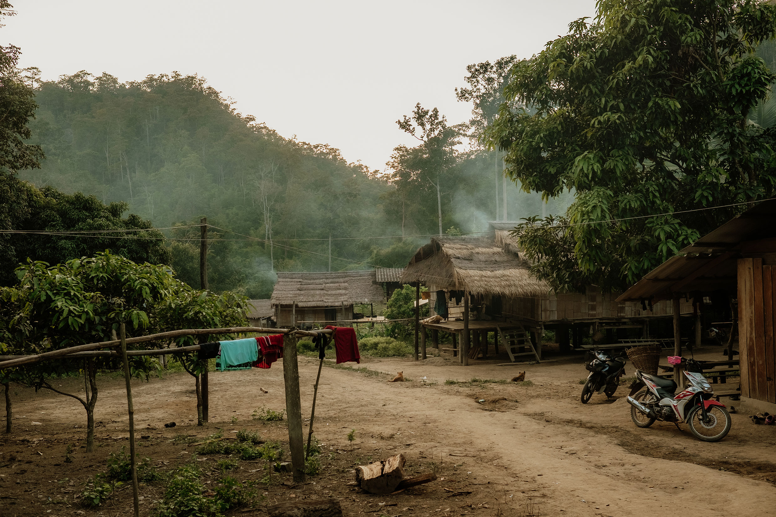 Mit Fuji-Kameras in Nordthailand - Fotograf Fürth