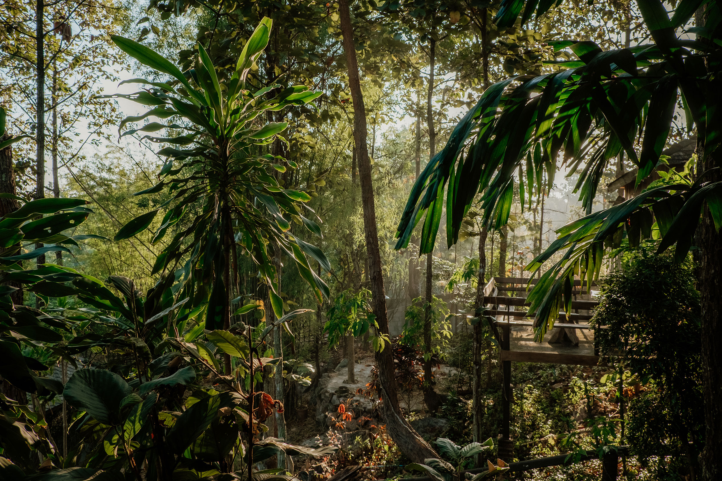 Mit Fuji-Kameras in Nordthailand - Fotograf Fürth