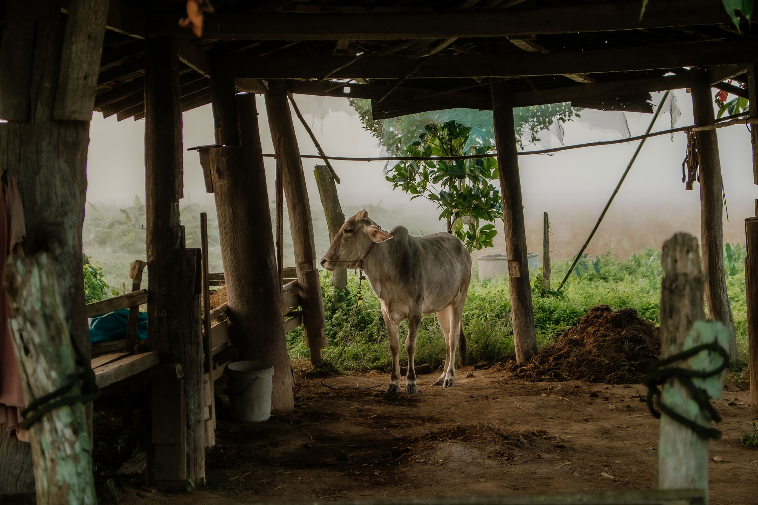 Mit Fuji-Kameras in Nordthailand - Fotograf Fürth