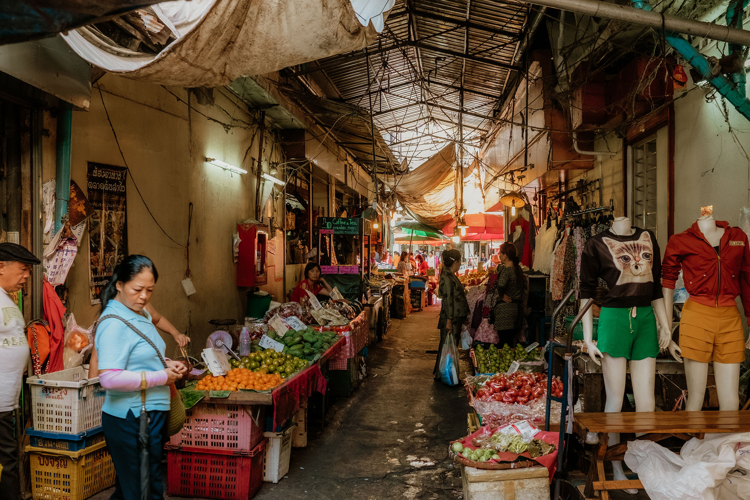 Mit Fuji-Kameras in Nordthailand - Fotograf Fürth