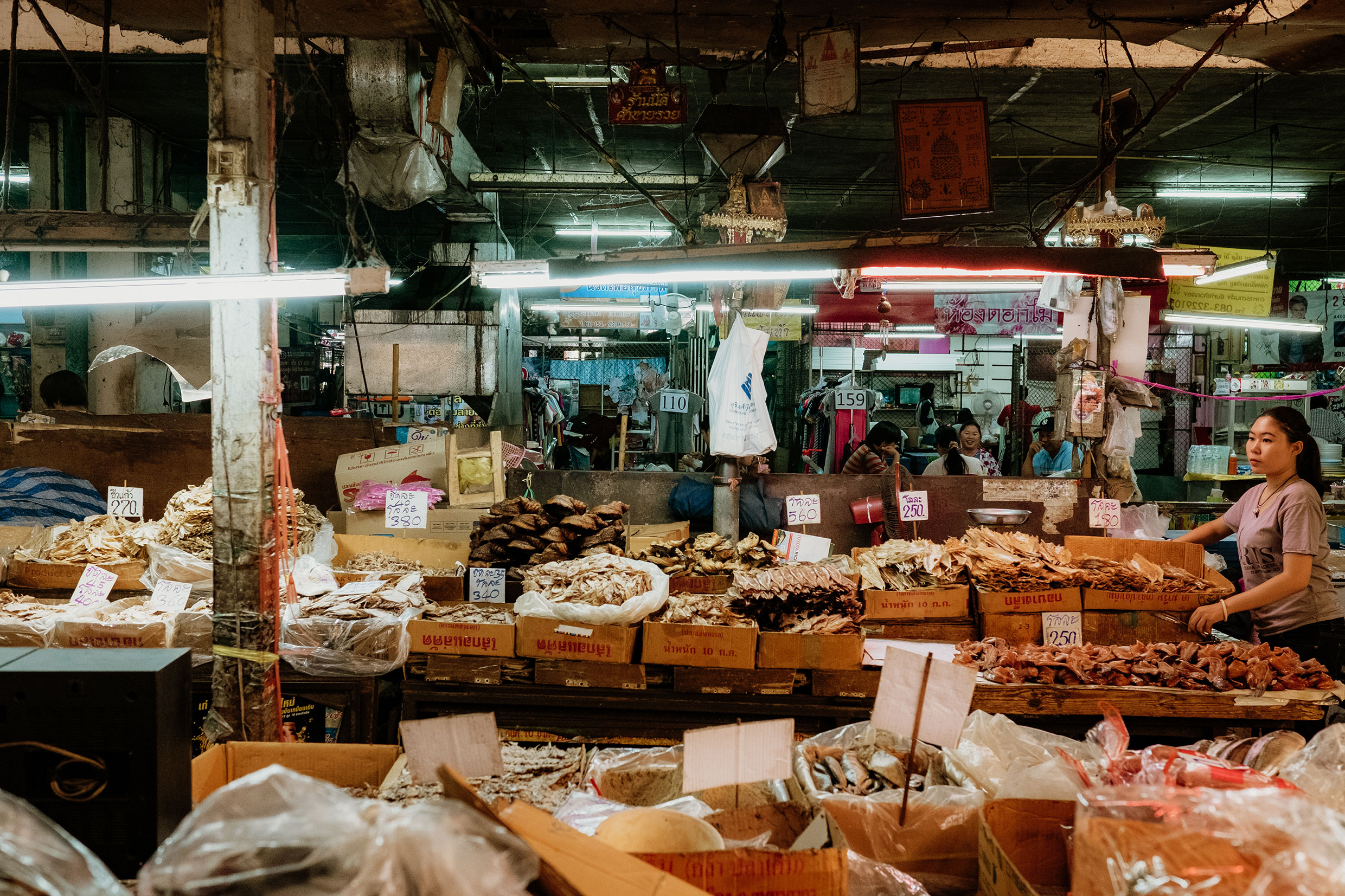 Mit Fuji-Kameras in Nordthailand - Fotograf Fürth