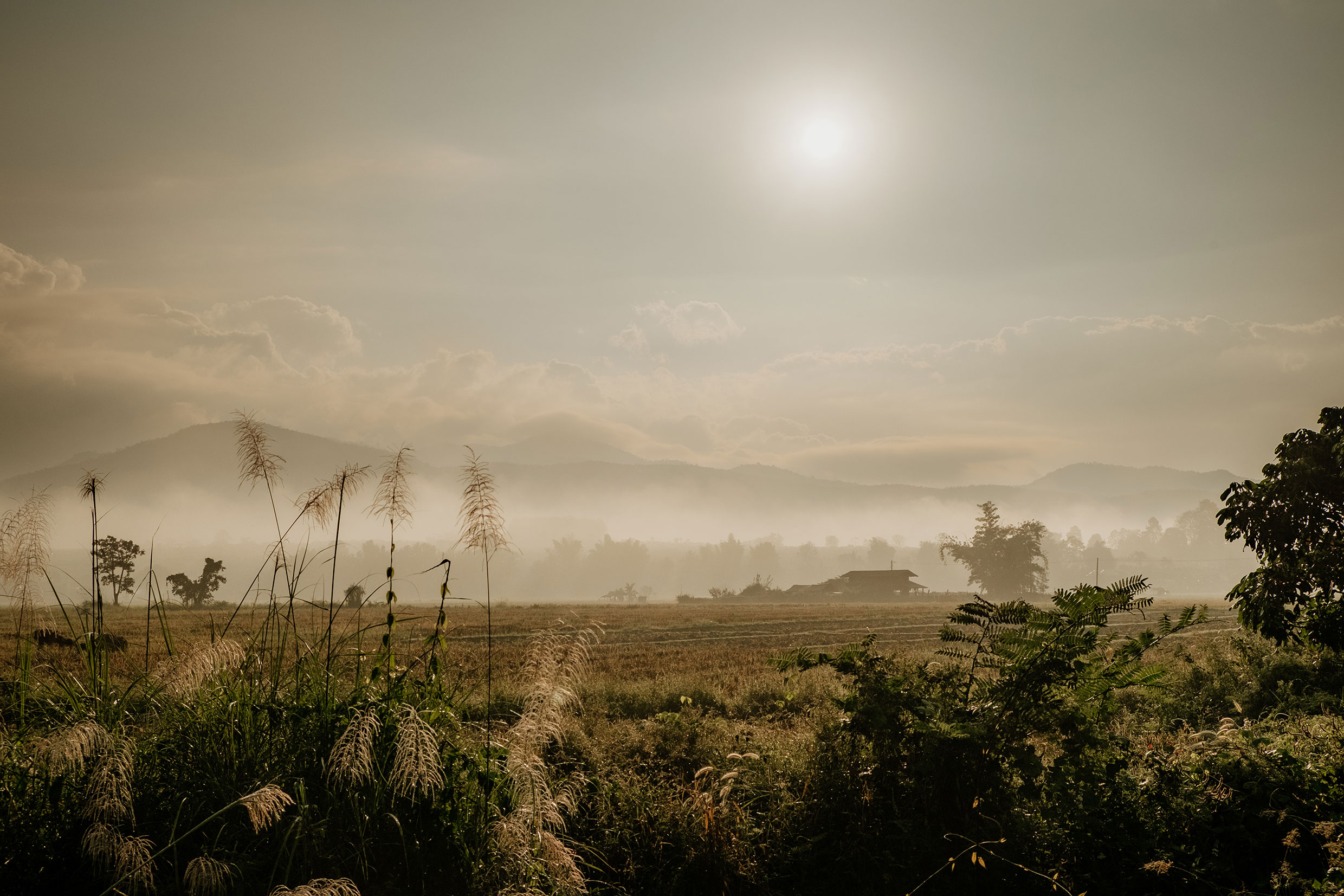 Mit Fuji-Kameras in Nordthailand - Fotograf Fürth