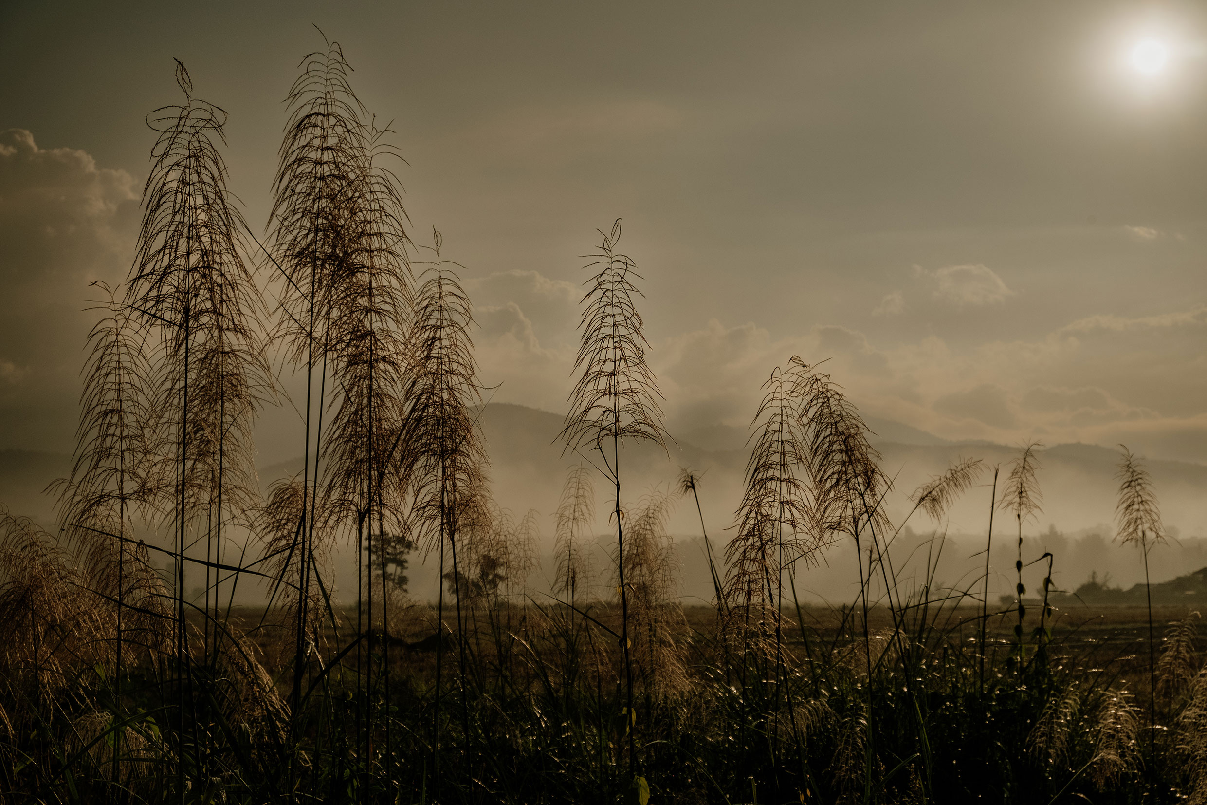 Mit Fuji-Kameras in Nordthailand - Fotograf Fürth