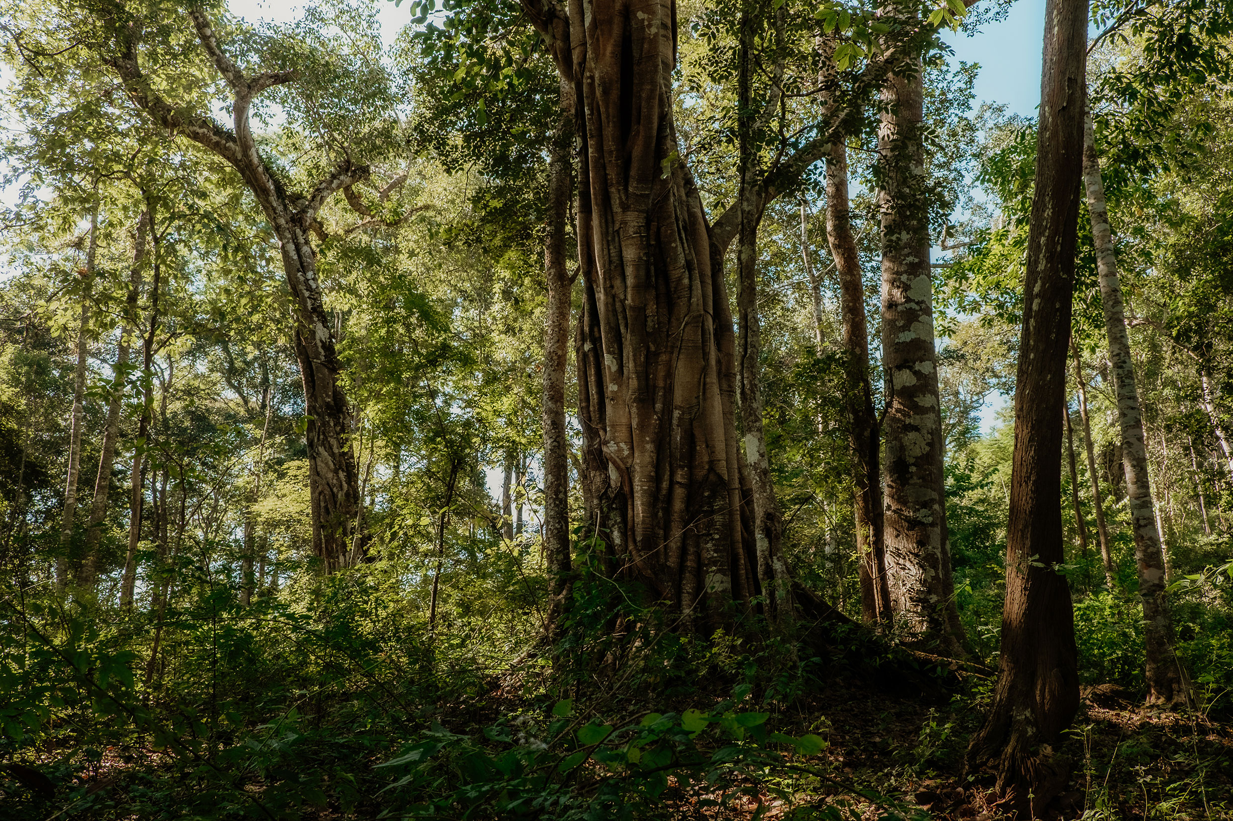 auf dem Mae Hong Son Loop in Nordthailand - Fotograf Fürth