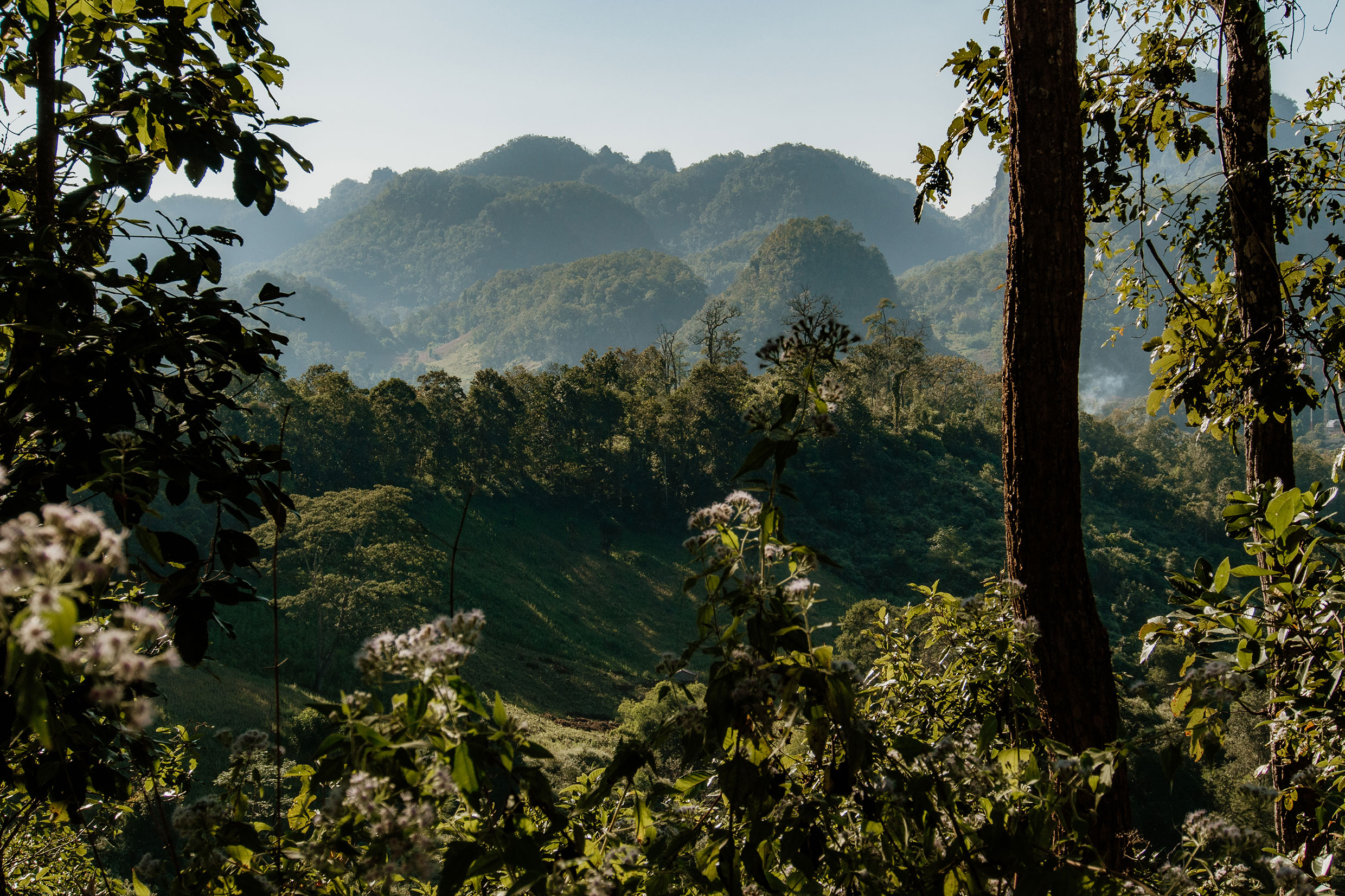 auf dem Mae Hong Son Loop in Nordthailand - Fotograf Fürth