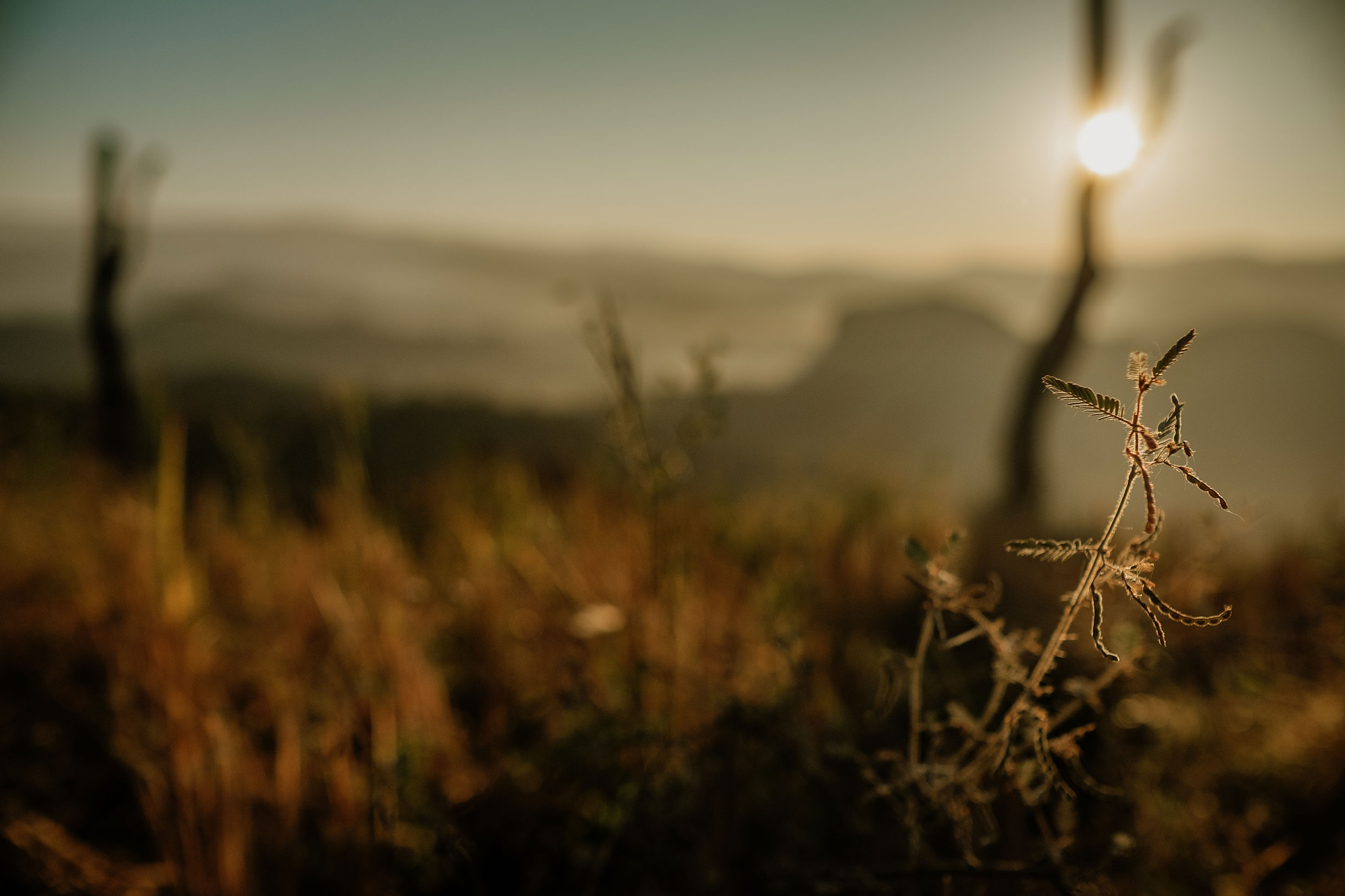 auf dem Mae Hong Son Loop in Nordthailand - Fotograf Fürth