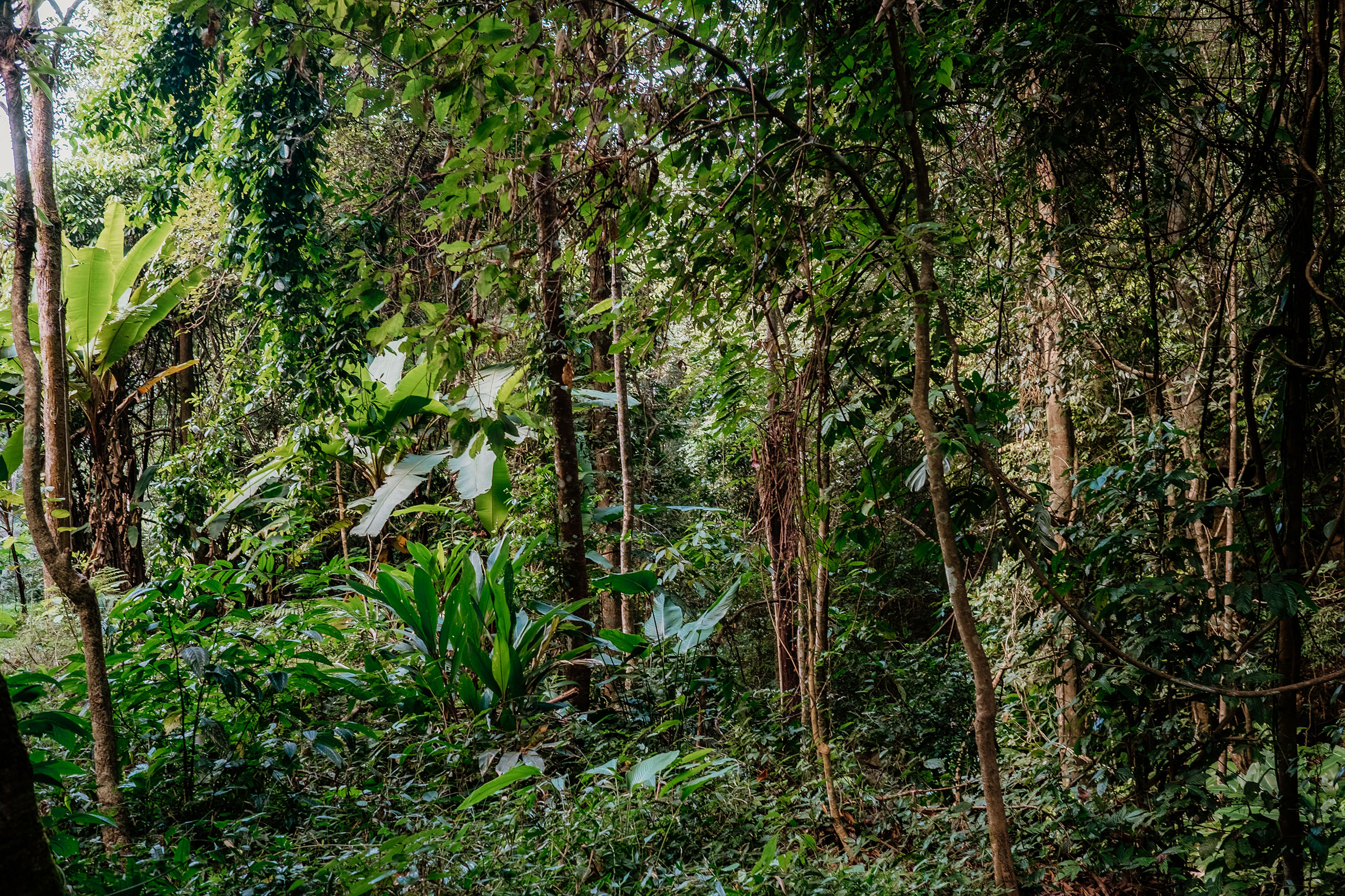 auf dem Mae Hong Son Loop in Nordthailand - Fotograf Fürth