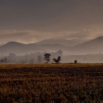 Klaus Gruber, mit der Fuji X-T1 in Nordthailand
