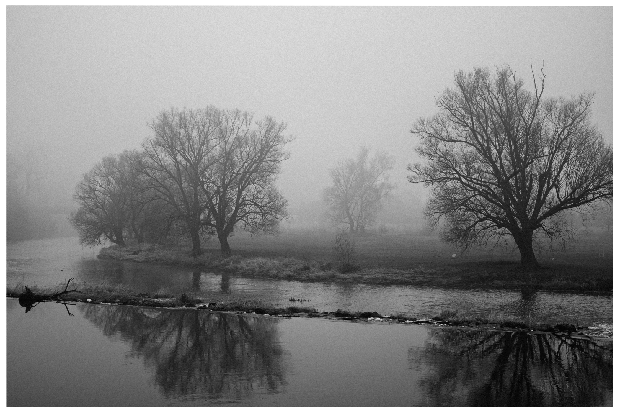 Nebelige Landschaft mit kahlen Bäumen am Flussufer, reflektiert im Wasser.