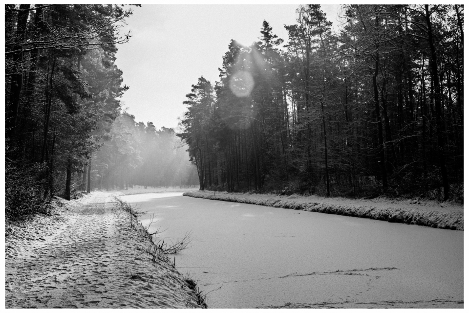 Schmaler Pfad am zugefrorenen Fluss, umgeben von Schneewald unter diffusem Sonnenlicht.