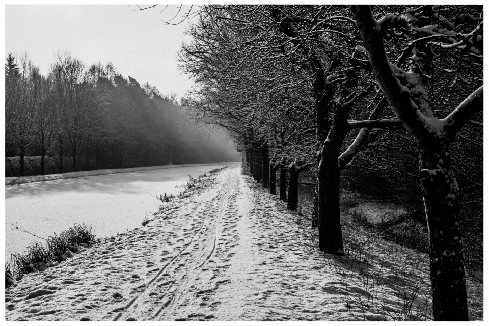 Verschneiter Weg am Fluss mit schneebedeckten Bäumen und bewaldetem Hintergrund.