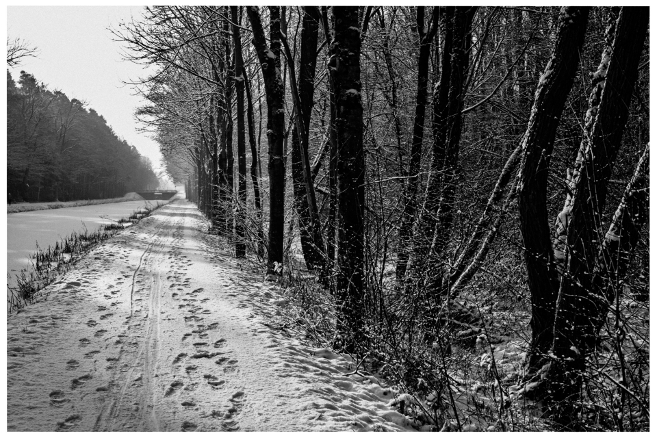 Verschneiter Waldweg mit Fußspuren, entlang eines Kanals und schneebedeckten Bäumen