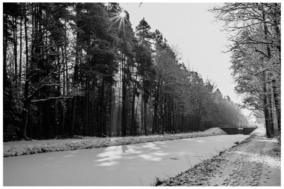 Kanal und Wald im Schnee, Sonnenstrahlen durch Bäume, Brücke im Hintergrund.
